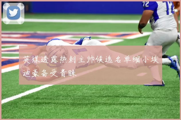 英媒透露热刺主帅候选名单缩小埃迪豪备受青睐